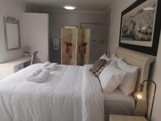 Pet Friendly Bartholomeus Diaz beach - 6