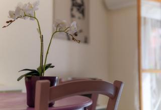 San Domenico Apartments 3 - Casa Vacanze al mare - 0