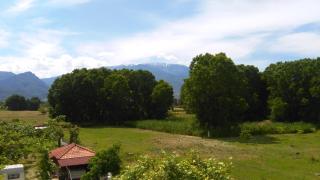 Hotel Lefkes - Paralia Skotinas - 5