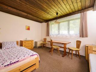 Apartment Harrachov 387 by Interhome - 4