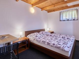 Apartment Marika 2 by Interhome - Černý Dŭl - 1