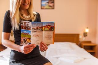 Hotel Tři Věžičky - Střítež - 0