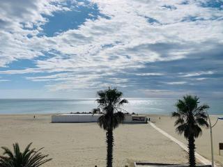 ROSEVA - T2 vue mer - climatisation - Canet-en-Roussillon - 7