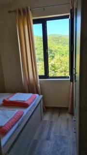 Apartments Ivetić - Kotor - 2