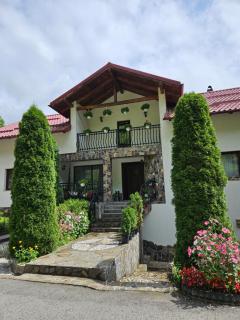 Casa Alba - Borşa - 0