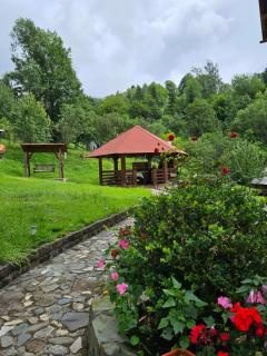 Casa Alba - Borşa - 5