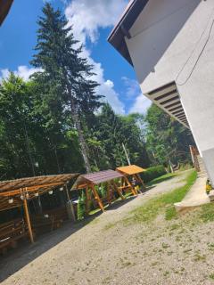 Cabana Valea Bradului - Nucşoara - 6