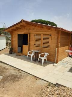 Quinta do Pinheiro - 9