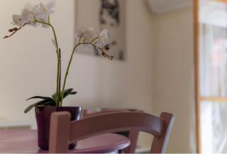 San Domenico Apartments 3 - Casa Vacanze al mare - Pietra Ligure - 5