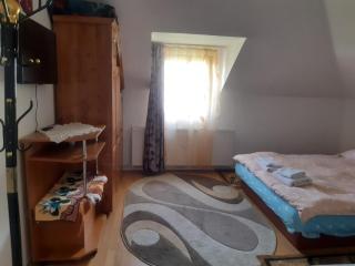 Pensiunea Mirela - Poienile Izei - 9
