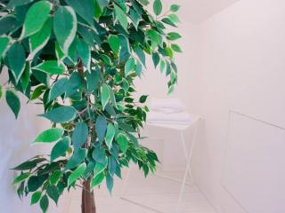 Bright studio flat in Oltrarno - Firenze - 9