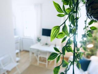 Bright studio flat in Oltrarno - Firenze - 2