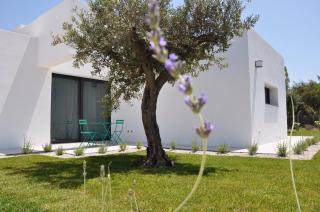 Casa Solà - Menfi - 0