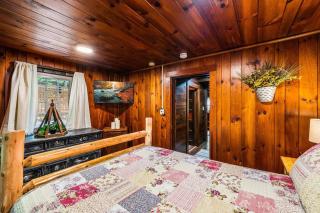 Boozy Bear Bungalow romantic cabin 5 mins 2 downtown with hot tub and fire pit - 1