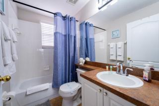 T852BD- Sunshine Delight (S) - Davenport - 6