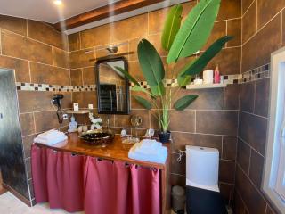 Nid du merle avec sauna et jacuzzi privatif - Septfonds - 2