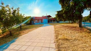 Zoe - Nea Kallikrateia - 2