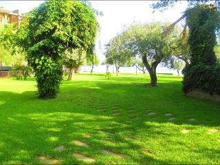 Appartamento Letojanni Gabbiano Sul Mare - Letojanni - 4