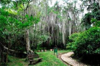 acogedor apartamento en San Gil - 3