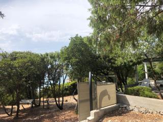 Casula Mediterranea - 5