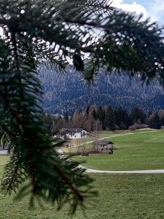 Locanda Val Canali - Siror - 2