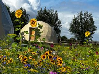 ID Glamping De Coude Scheure - Middelkerke - 4