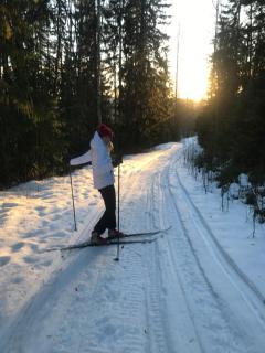Lakeside Guesthouse, Lillstugan - 8