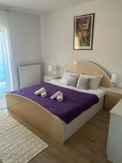 Deluxe apartman Mimi Viskovo with a free parking space - Viskovo - 4