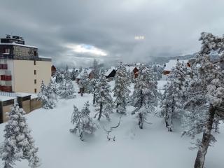 Les myrtilles La Pierre Saint Martin - 6