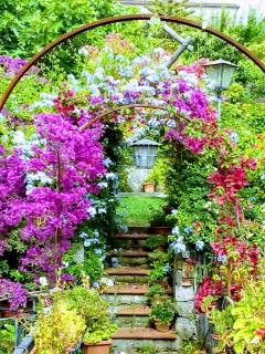 The Secret Garden Maratea - Casa di Elena - Maratea - 1