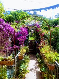 The Secret Garden Maratea - Casa di Elena - Maratea - 2