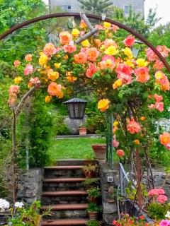 The Secret Garden Maratea - Casa di Sery - Maratea - 2