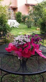 The Secret Garden Maratea - Casa di Sery - Maratea - 1