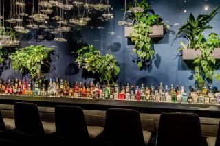 Motel One Bonn-Hauptbahnhof - Bonn - 5