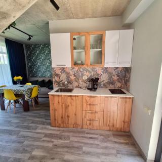 Gina Apartments - Shekhvetili - 2