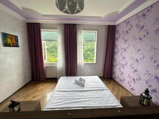 Daiana's home - Gegelidzeebi - 7
