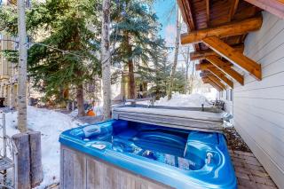 Sun Bird Getaway at River Run - Ketchum - 9