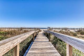 Oyster Catcher 4 - 9