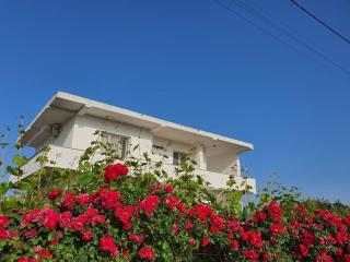 Green Villa - Durrës - 0