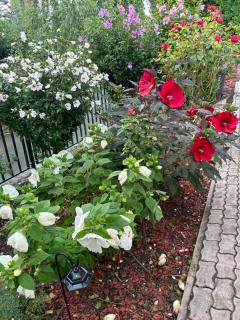 Aventurin House *** - 2