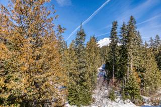 #301 Grand Lodge South Master Suite - 3