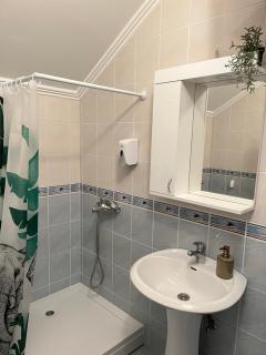 Guest Radic Apartment 3 - Palić - 6