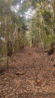 Sítio Recanto do Ipê - 1