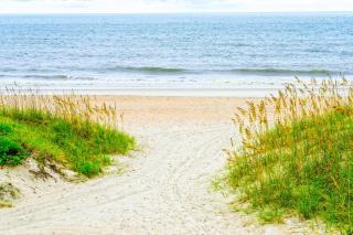 Whale Tale - Main - Fernandina Beach - 9
