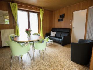 Holiday Home in Froidchapelle with Garden - Cerfontaine - 7