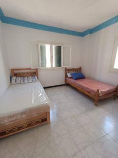 شاطيء النخيل - 3