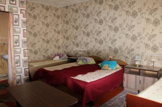 Guest House on Derbisheva - Karakol - 4