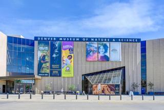 Victorian Manor 1 mile from Downtown Denver! - 9