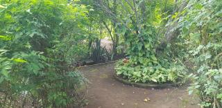 Furahia Eco Inn - 9