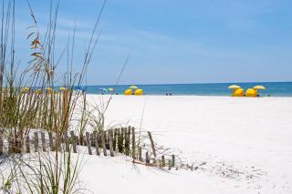 The Sand & Surf Beach House B - Gulf Shores - 5